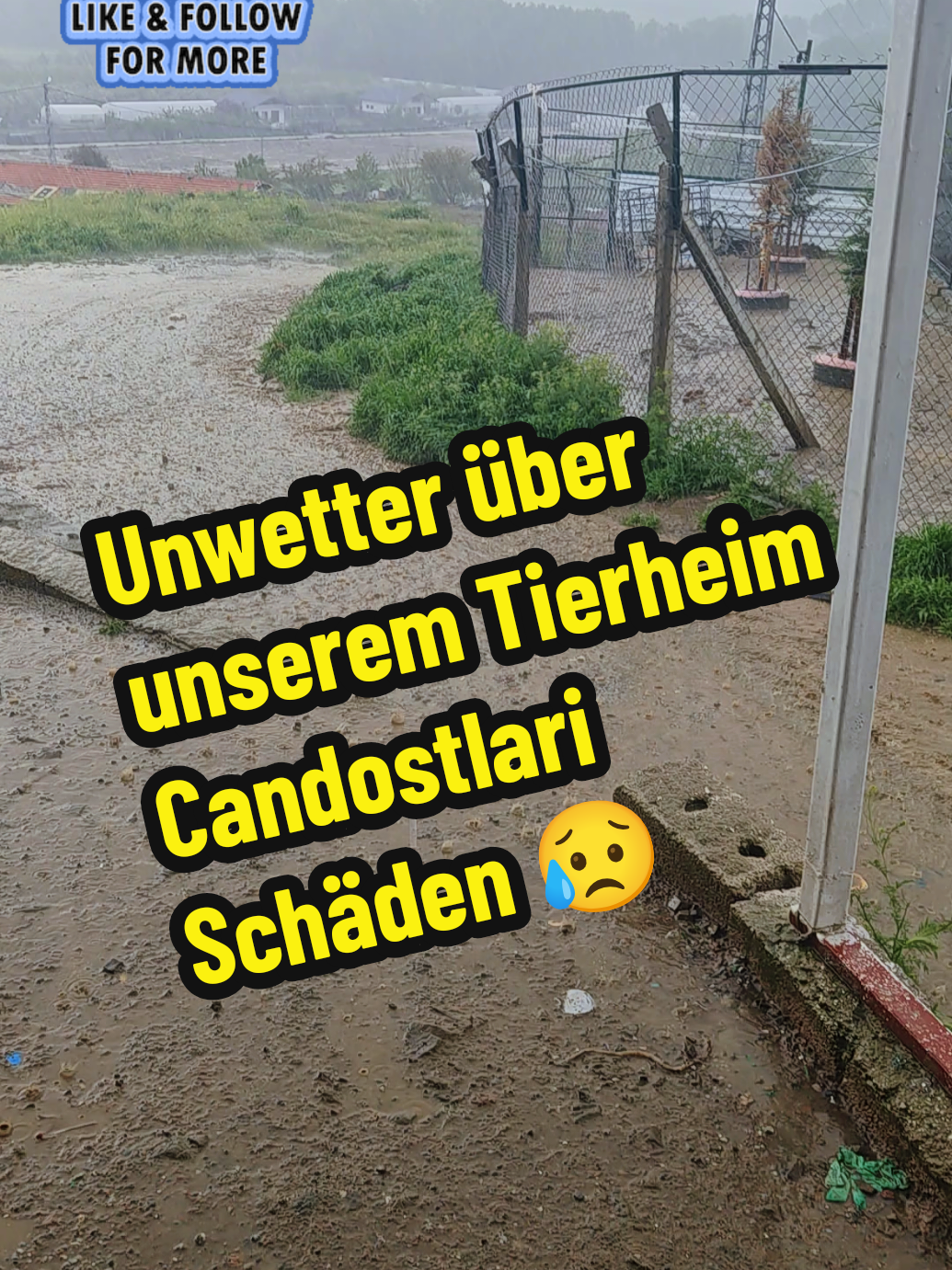 @TSV Candostlari-Beste Freunde