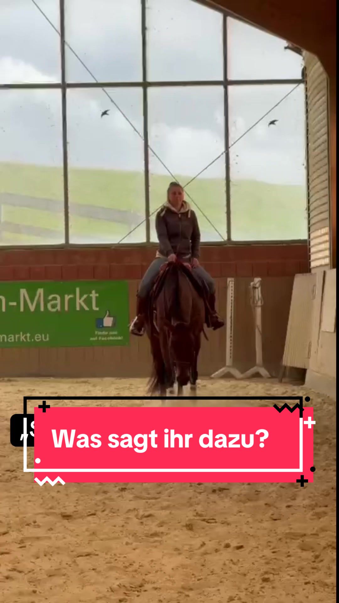 @Sarah Netzel🦄✨