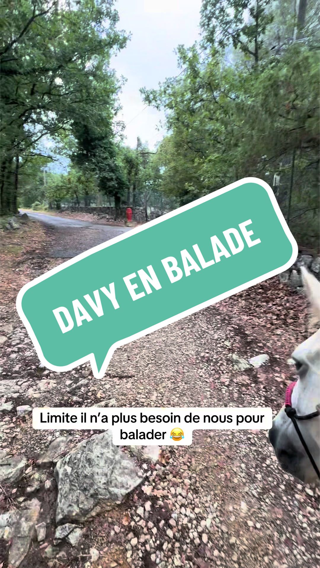 @Salut c’est Marine