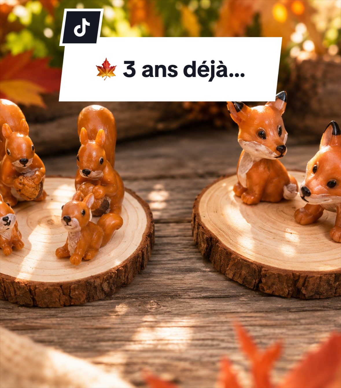 @Les petits détails de Soane