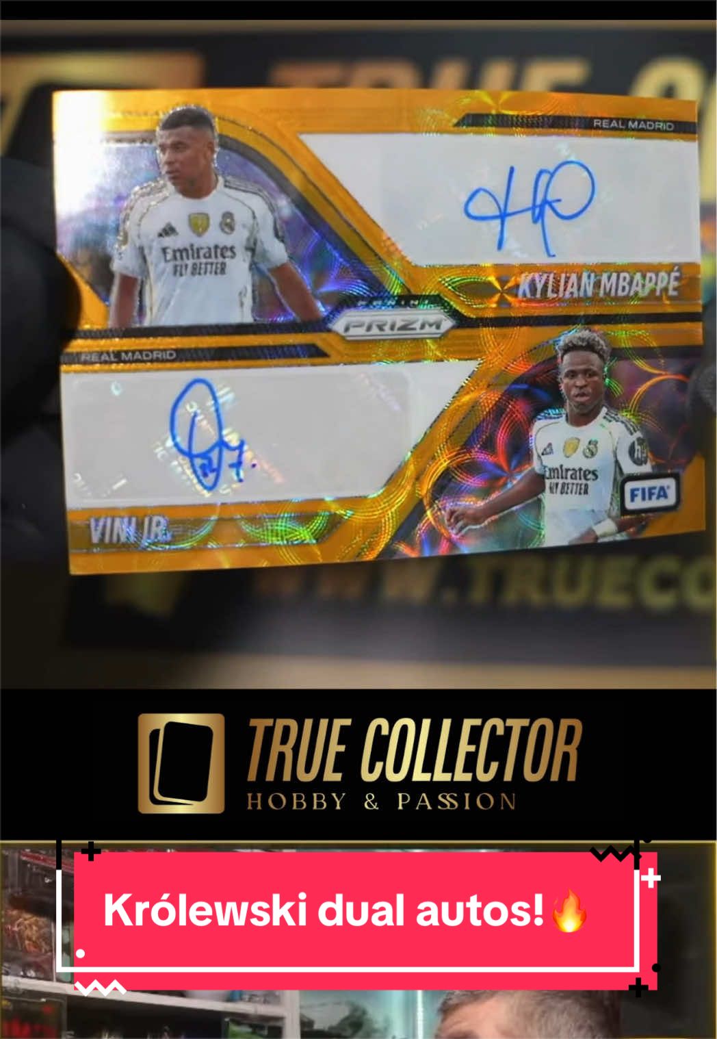 @True Collector Shoty