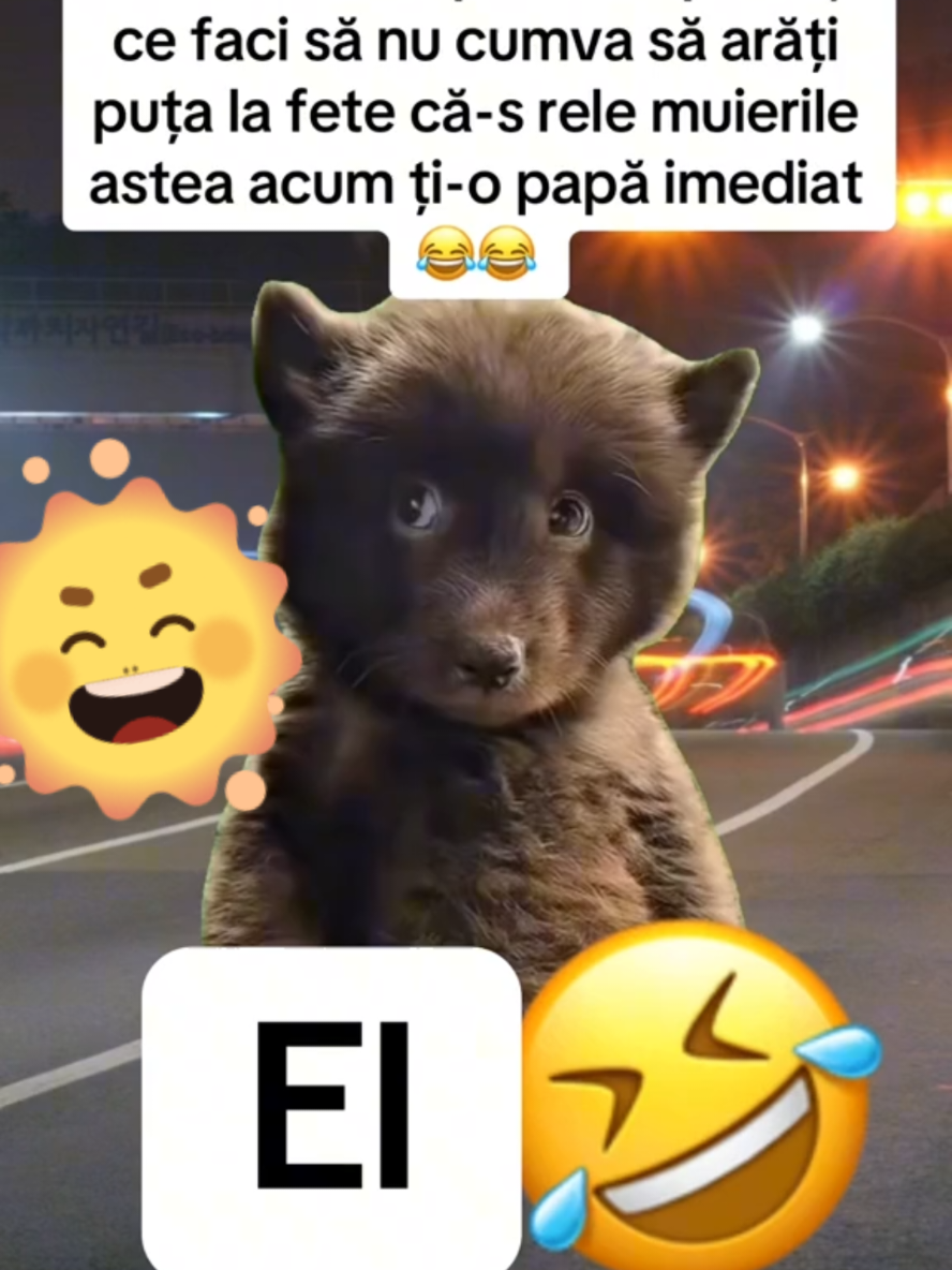 @Mihaela