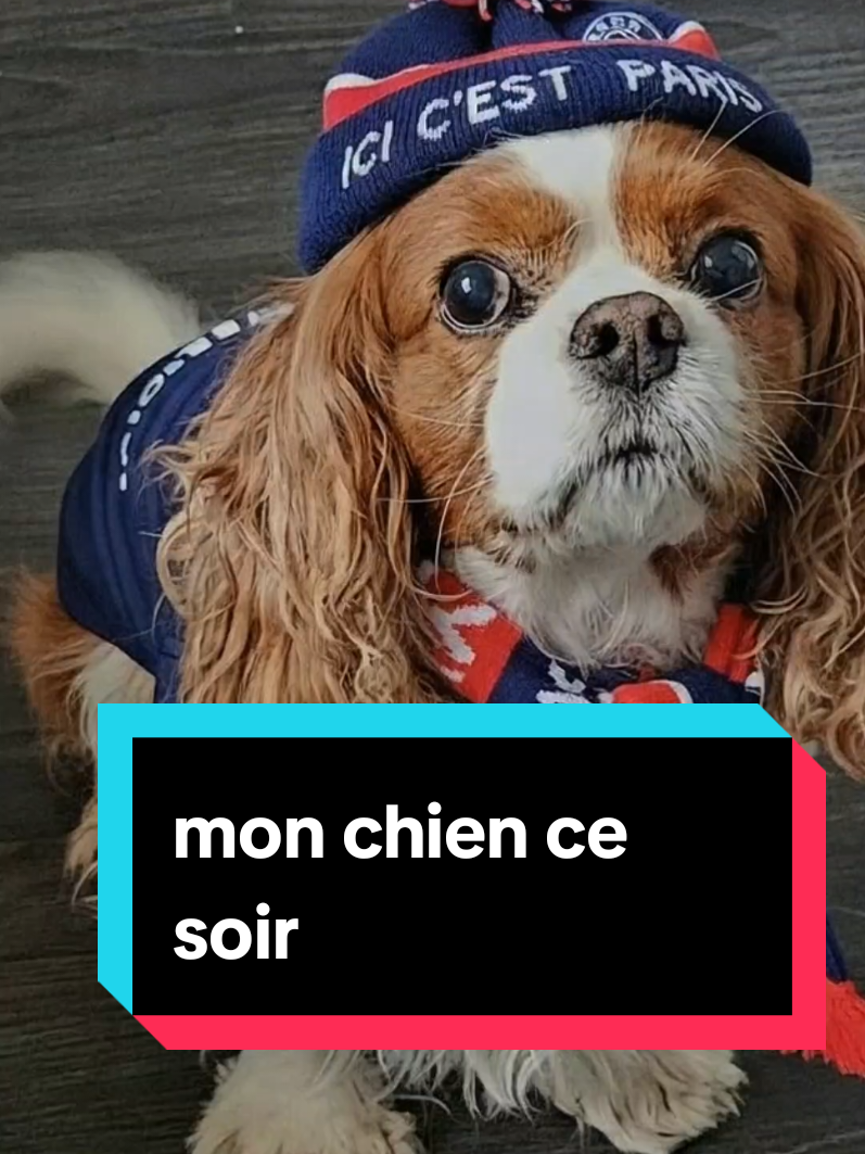 @L_ExpertDuParc