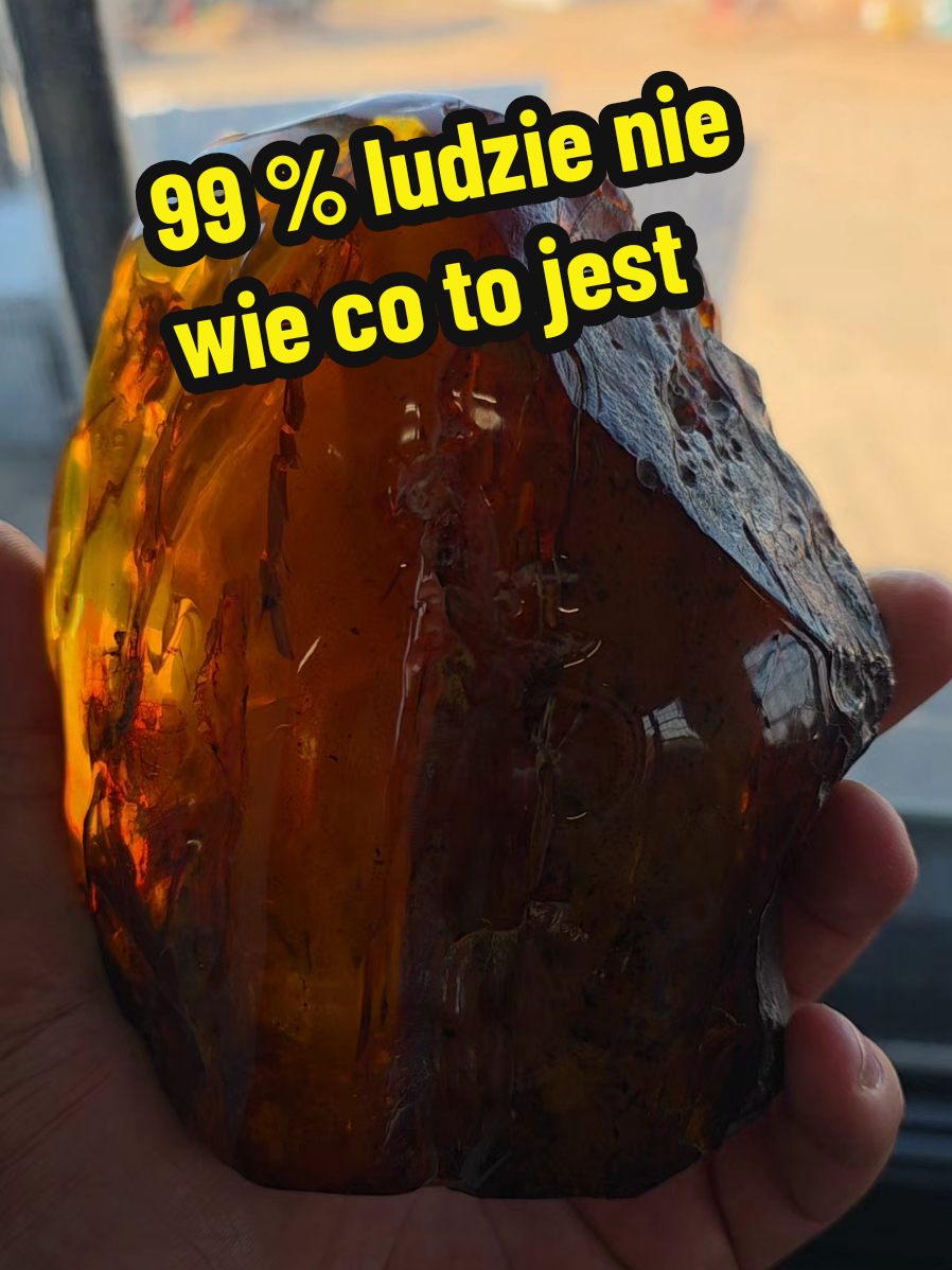 @Warszewski