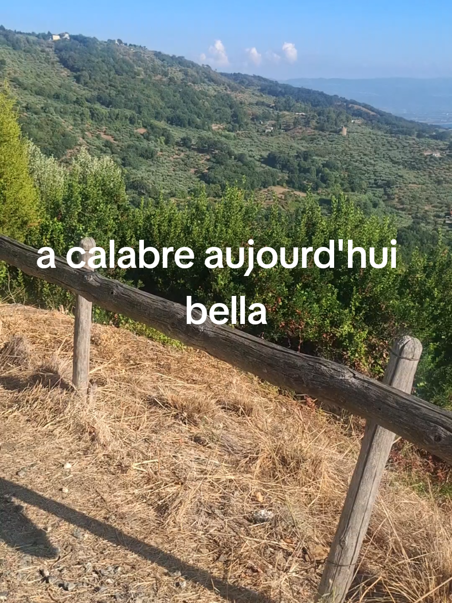 @falerna