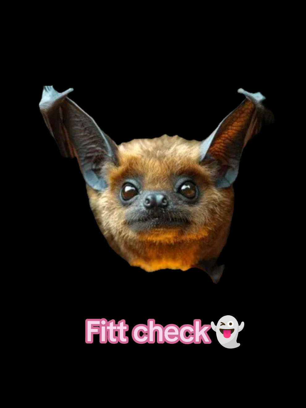@🦇👻⦻𝐿𝑖𝑙𝑦 𝑙𝑢𝑛𝑑𝑦⦻👻🦇