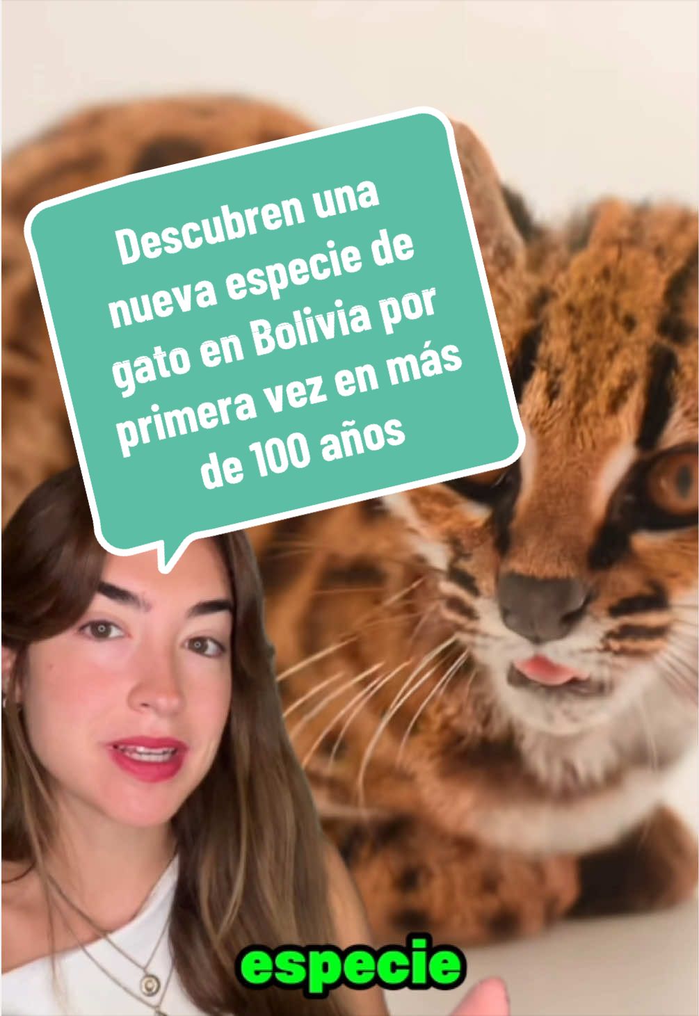 @r3vista