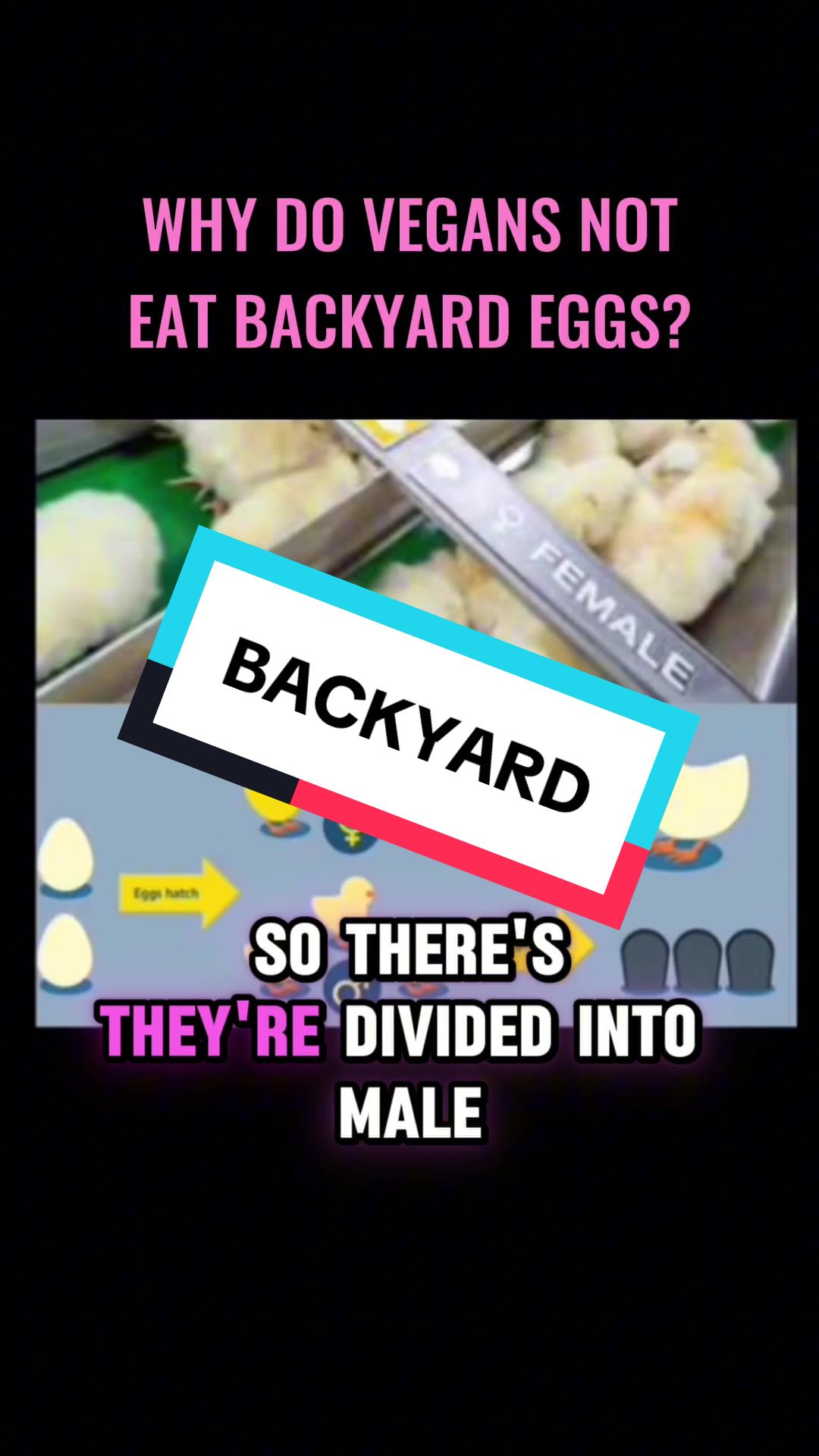 @vegandesign