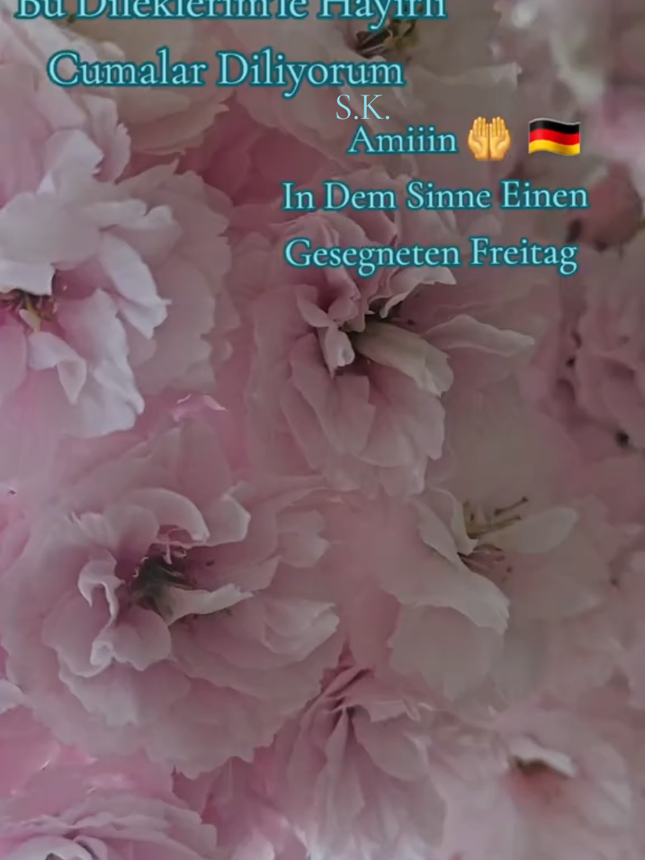 @Selmas_kueche