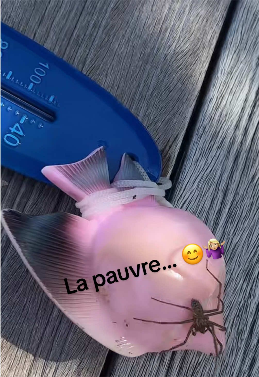 @Sève40