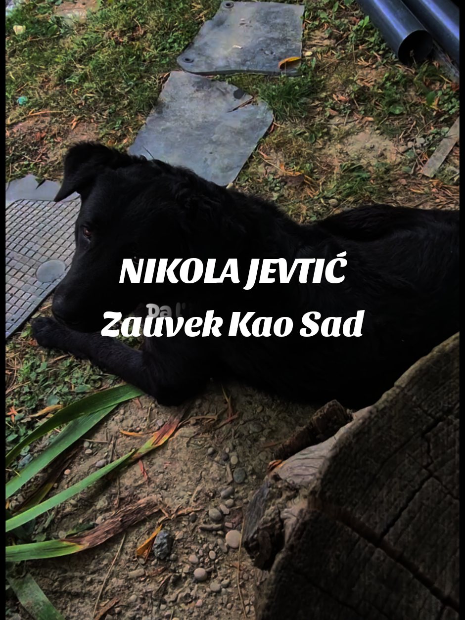 @BalkanMusic
