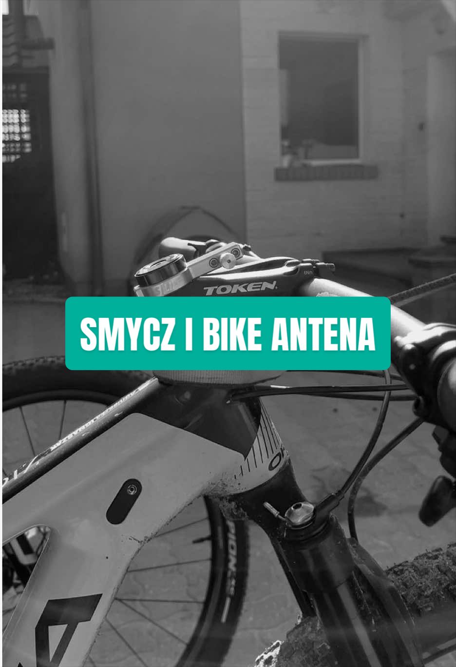 @Agnieszka Ignaszak bikejoring
