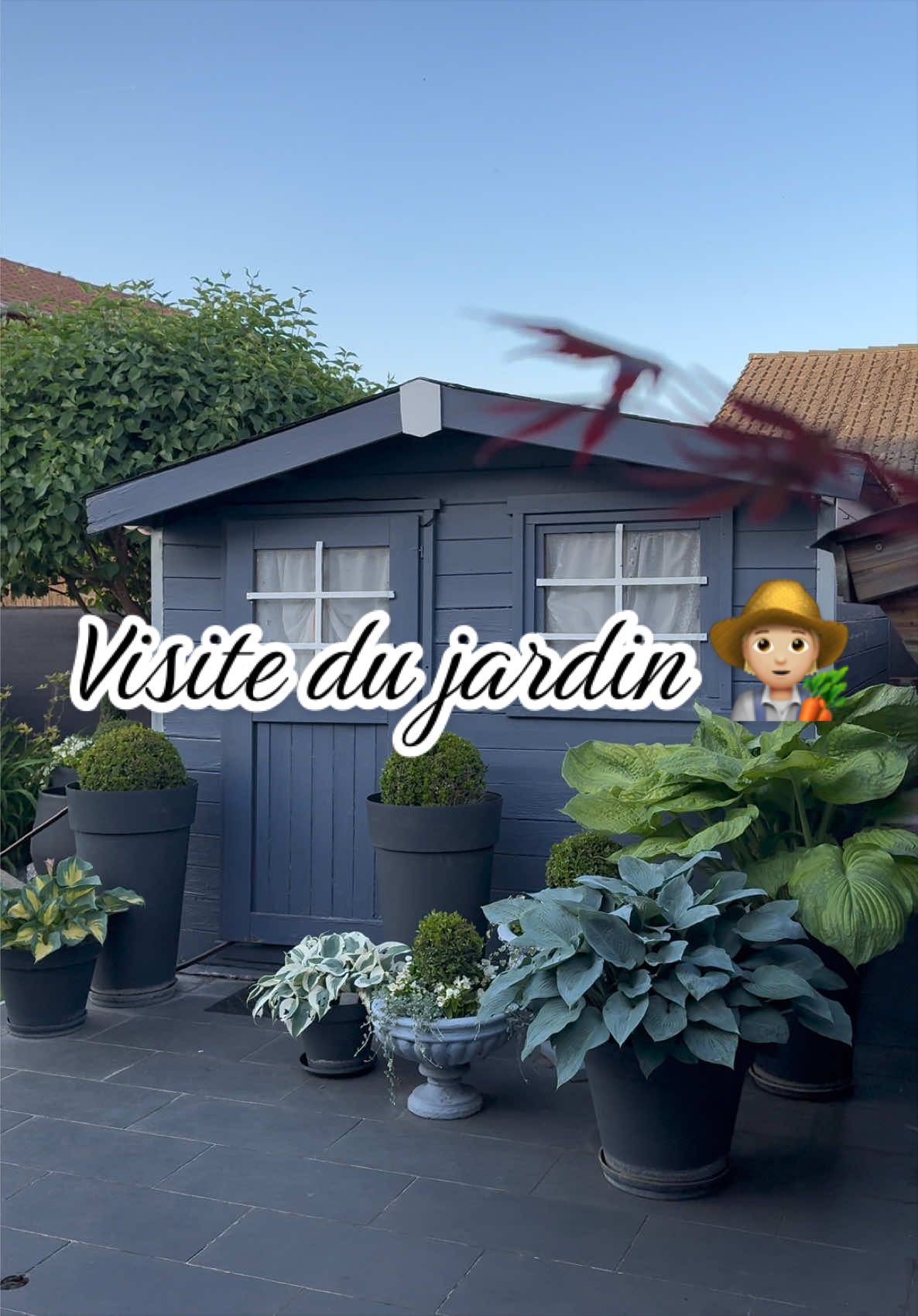 @Jardin de Rémi