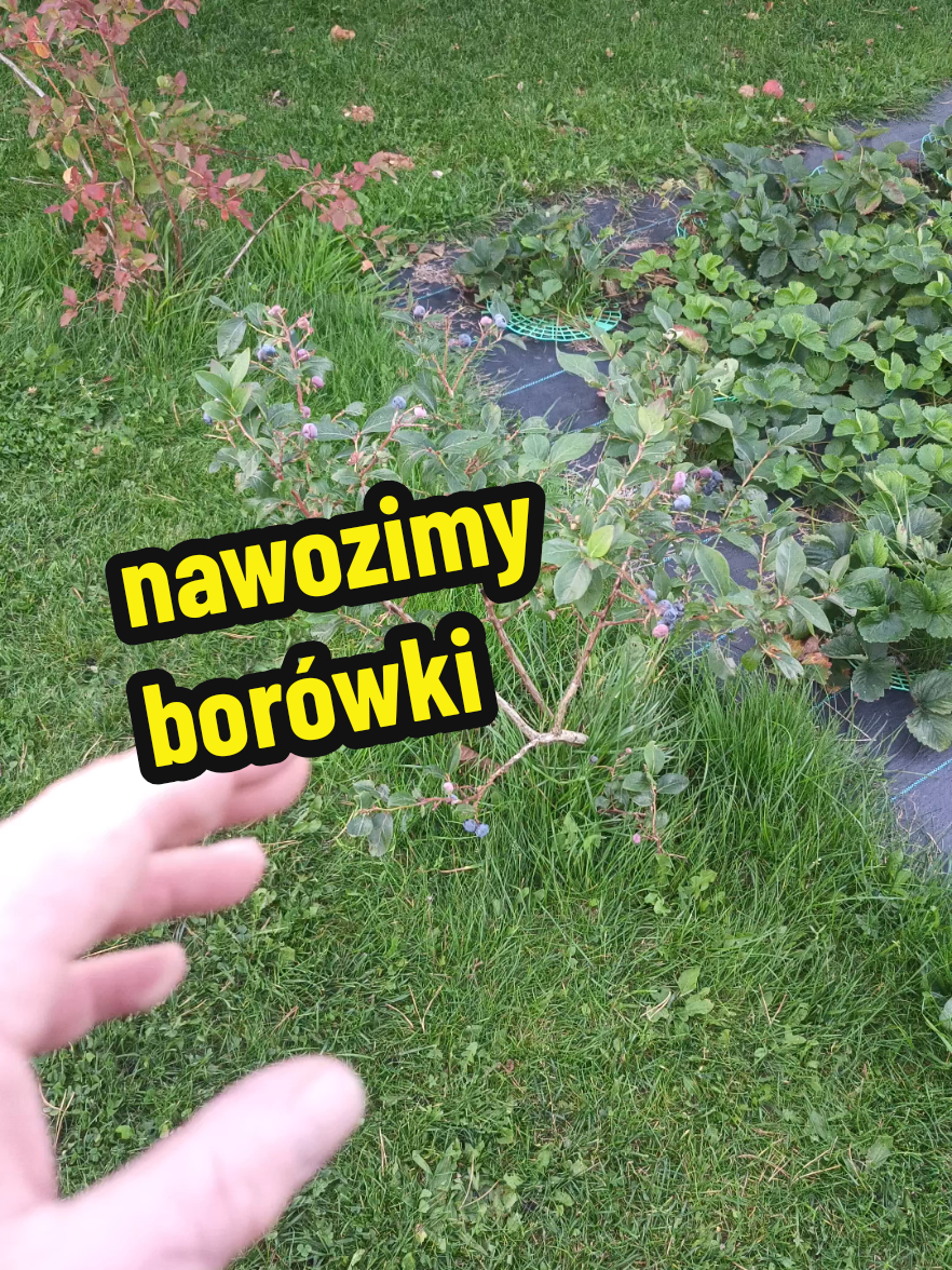 @Marcin ogrodnik