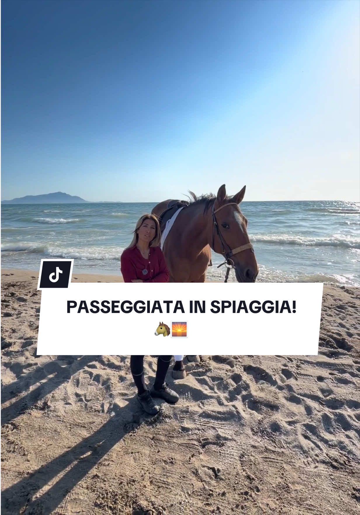 @ANGELACAPUANOHORSE