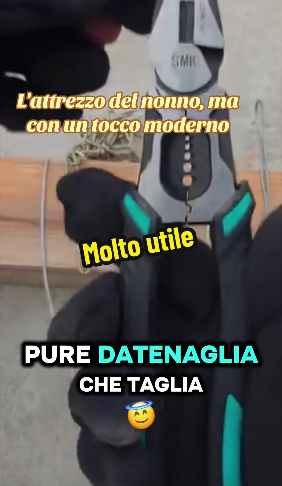 @Alessandro Cuomo ♌️