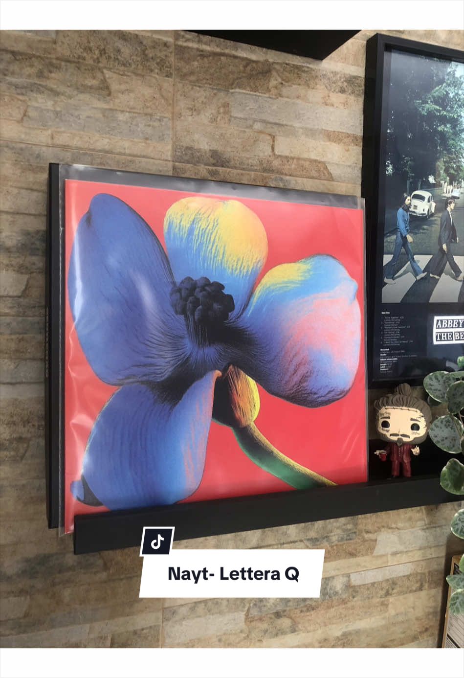 @VinylVibes