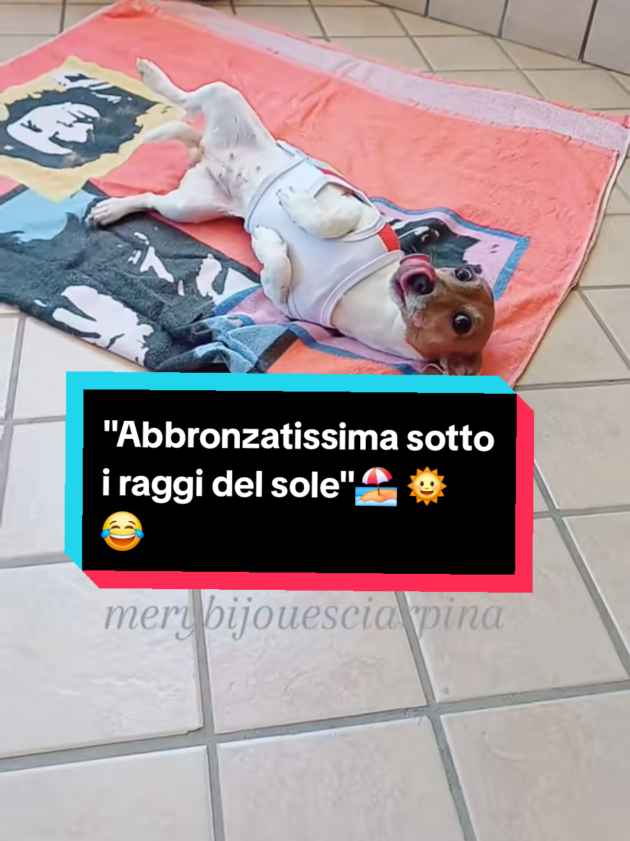 @MeryBS_Official