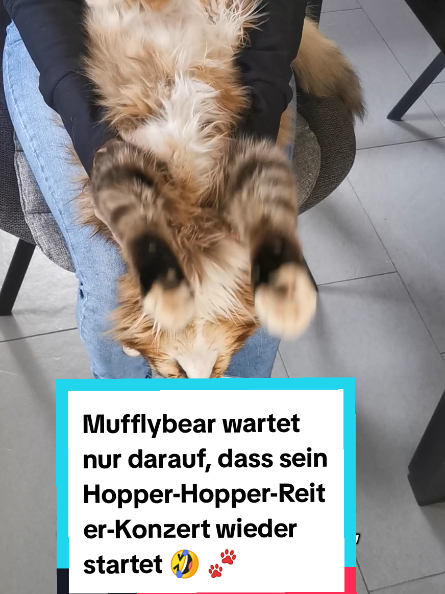 @animalslover