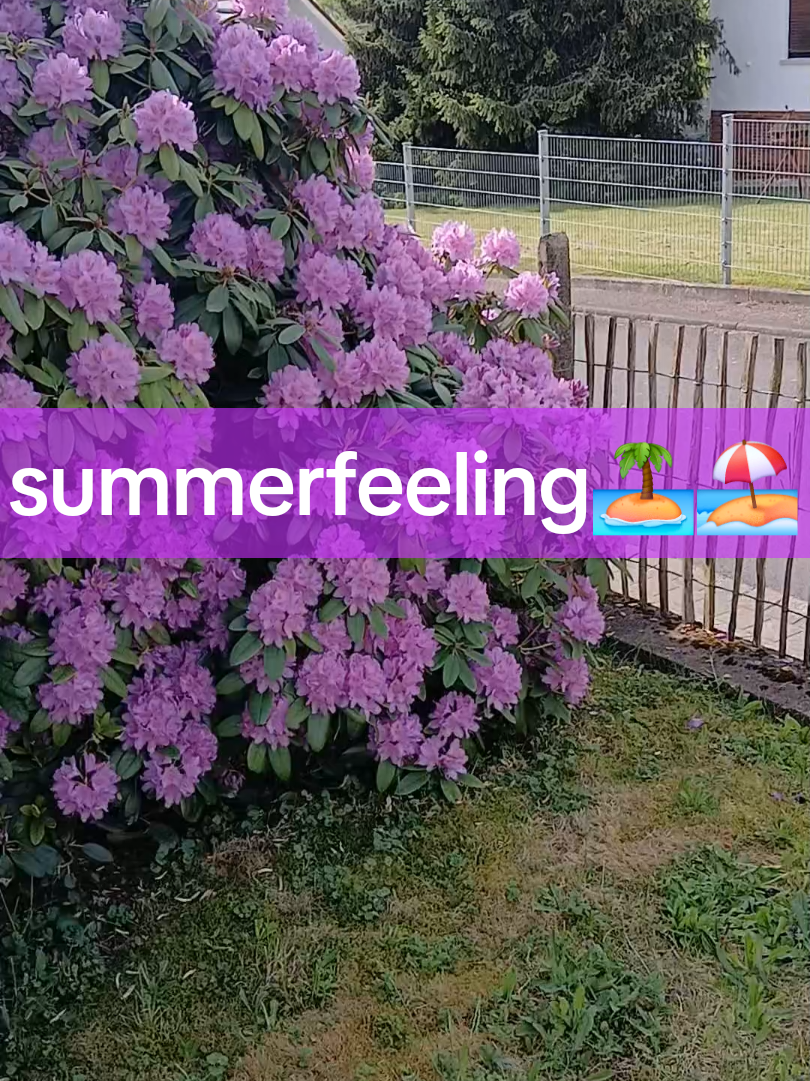 @🔨🔩🏞Fritzelfred125🤯