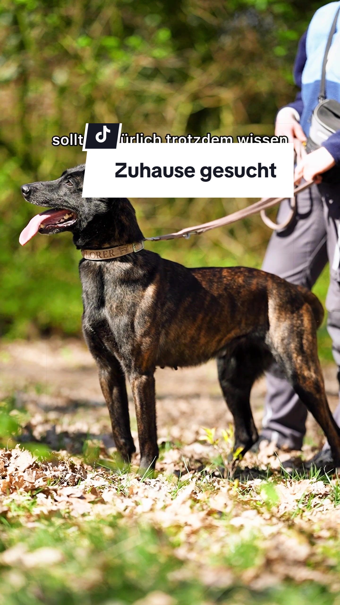 @Kathi