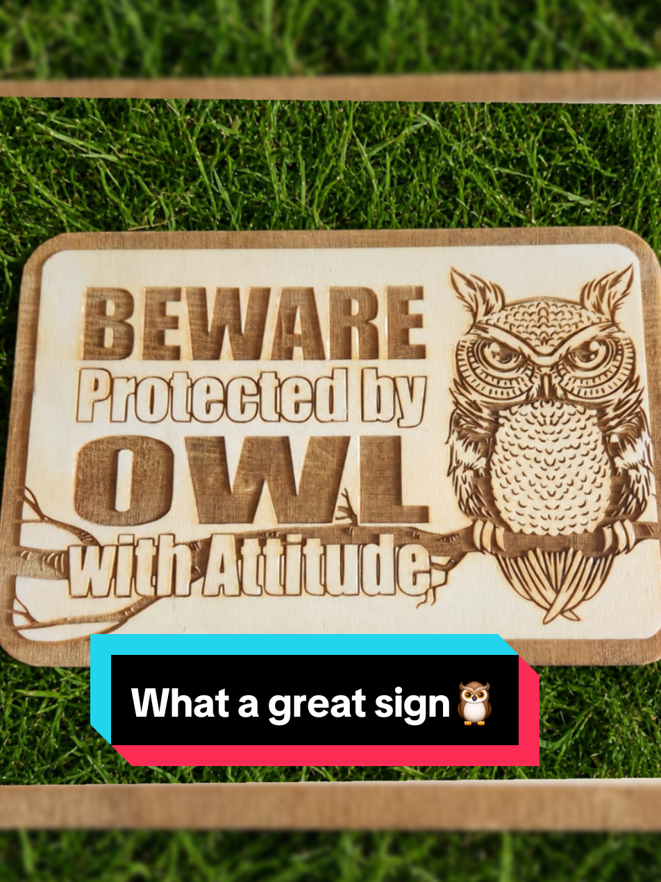 @Birddaddy🦜🦉🦅