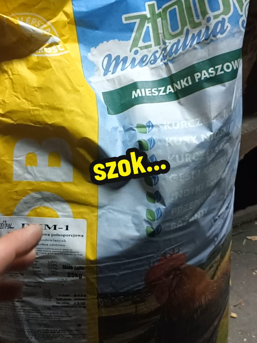 @Marcin ogrodnik