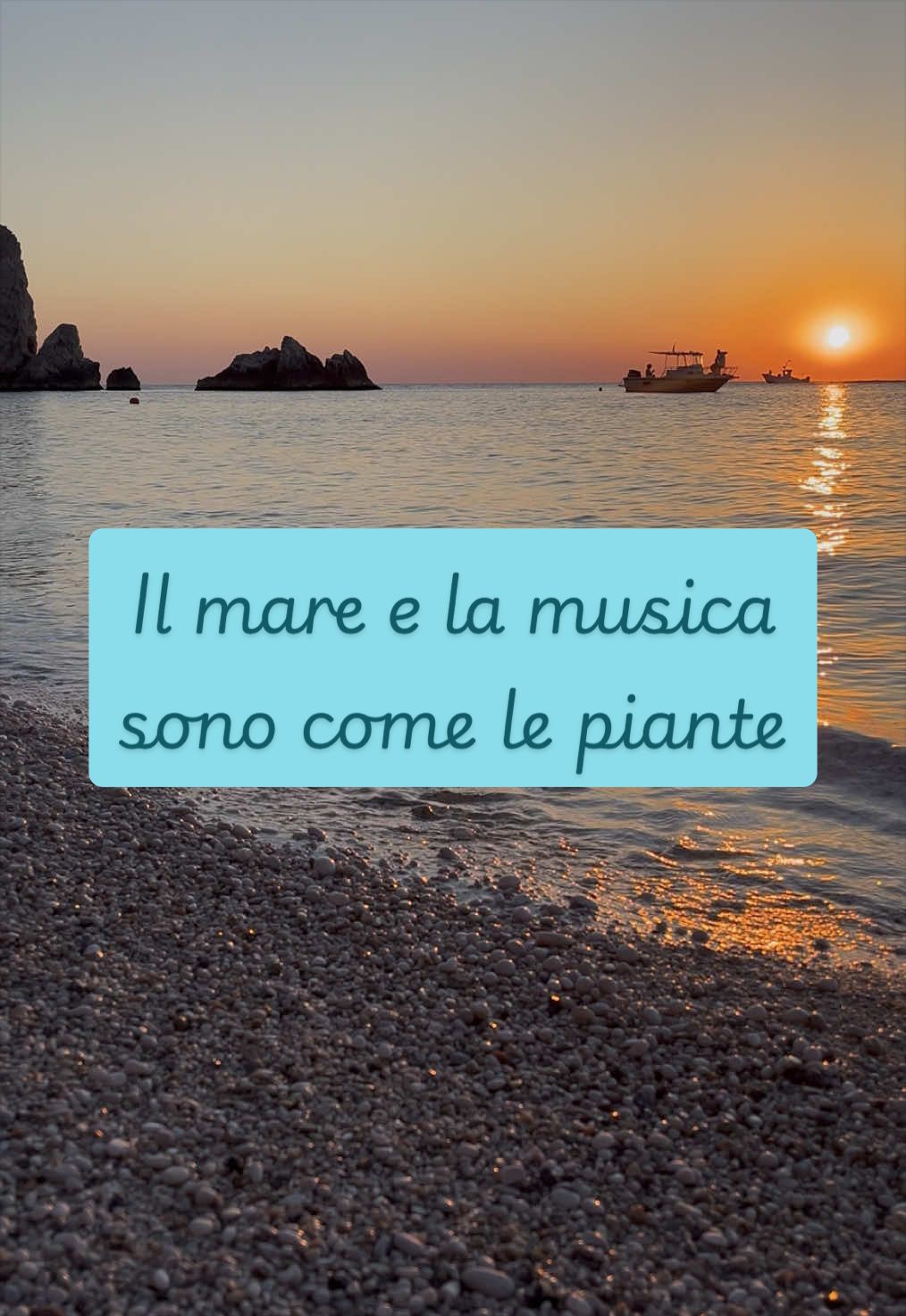 @piccole.spine.felici