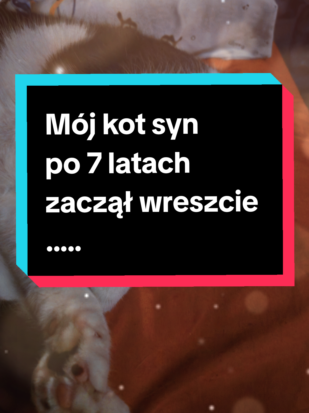 @PAWELSKY 🎀 🩵