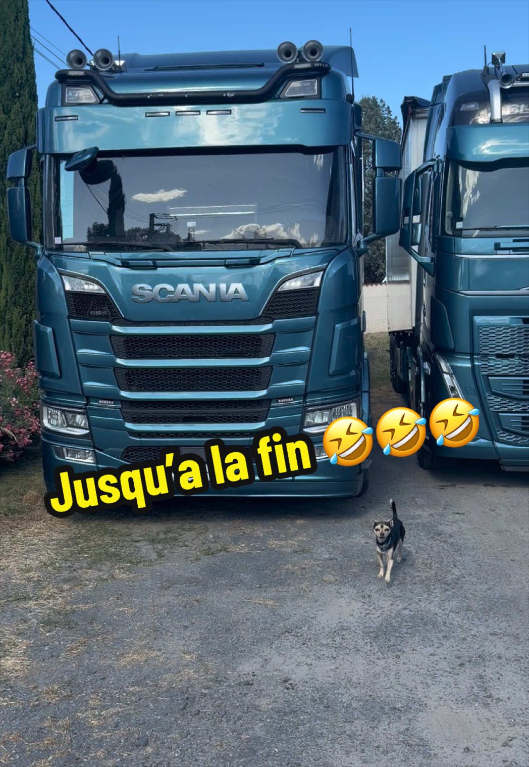 @STEPH & VOLVO