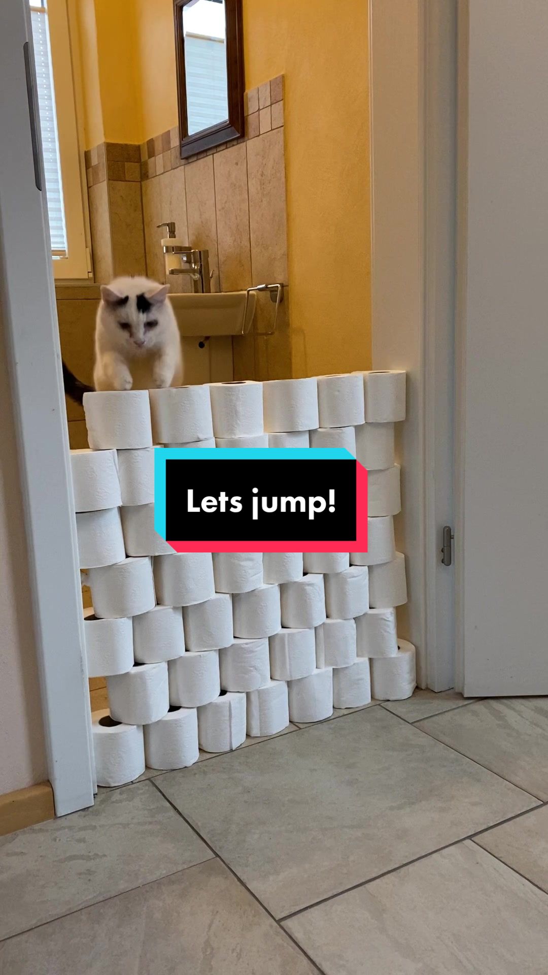 @Marielethecat