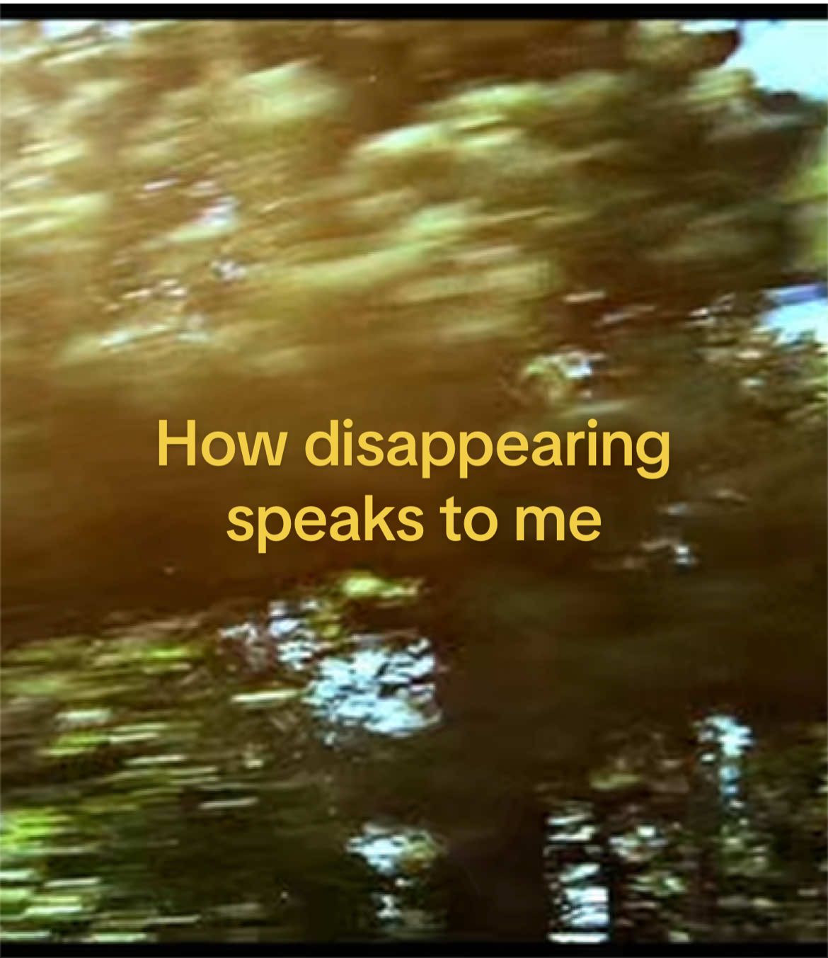 @Adry 🌱
