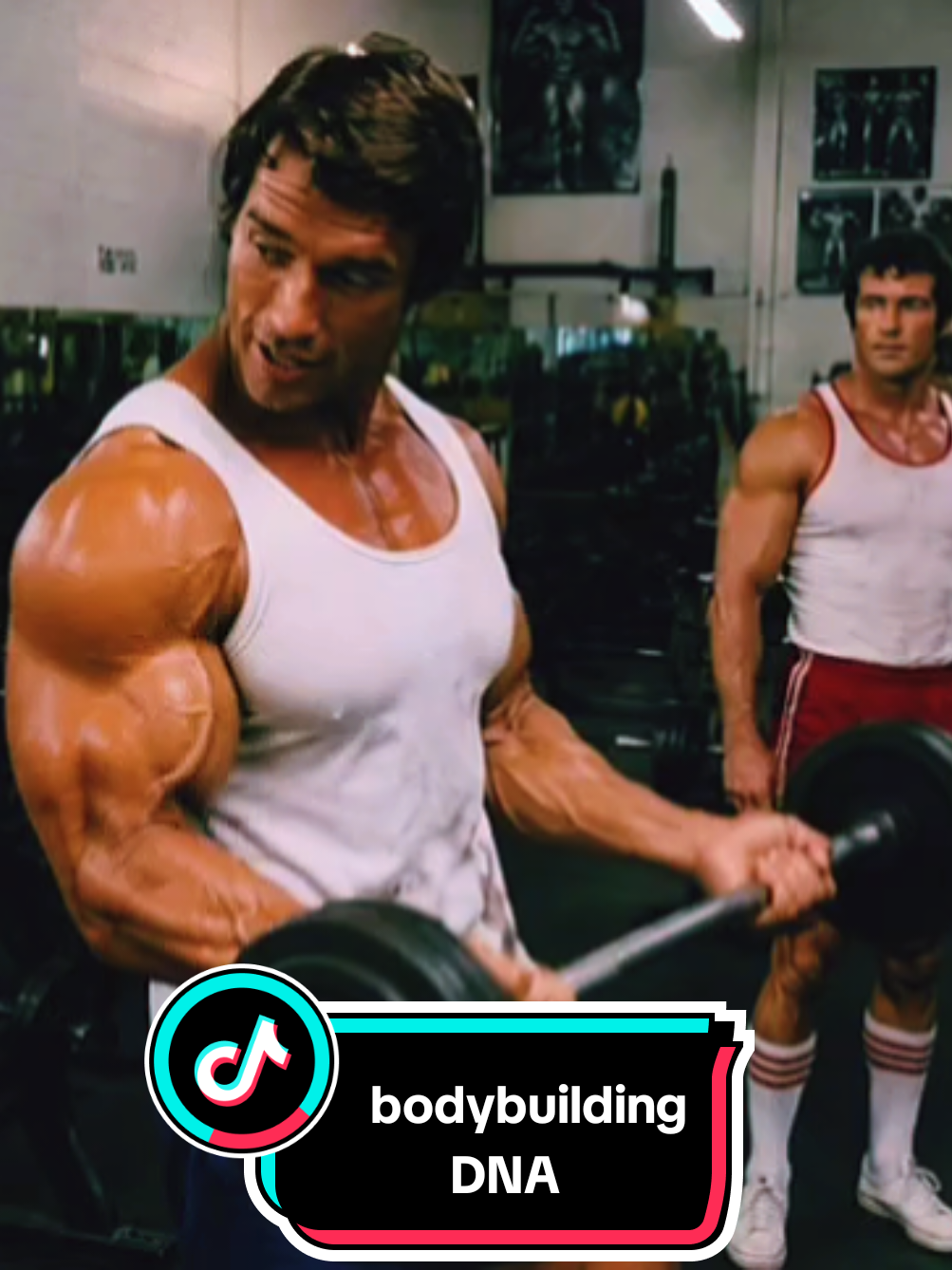 @bodybuildingDNA