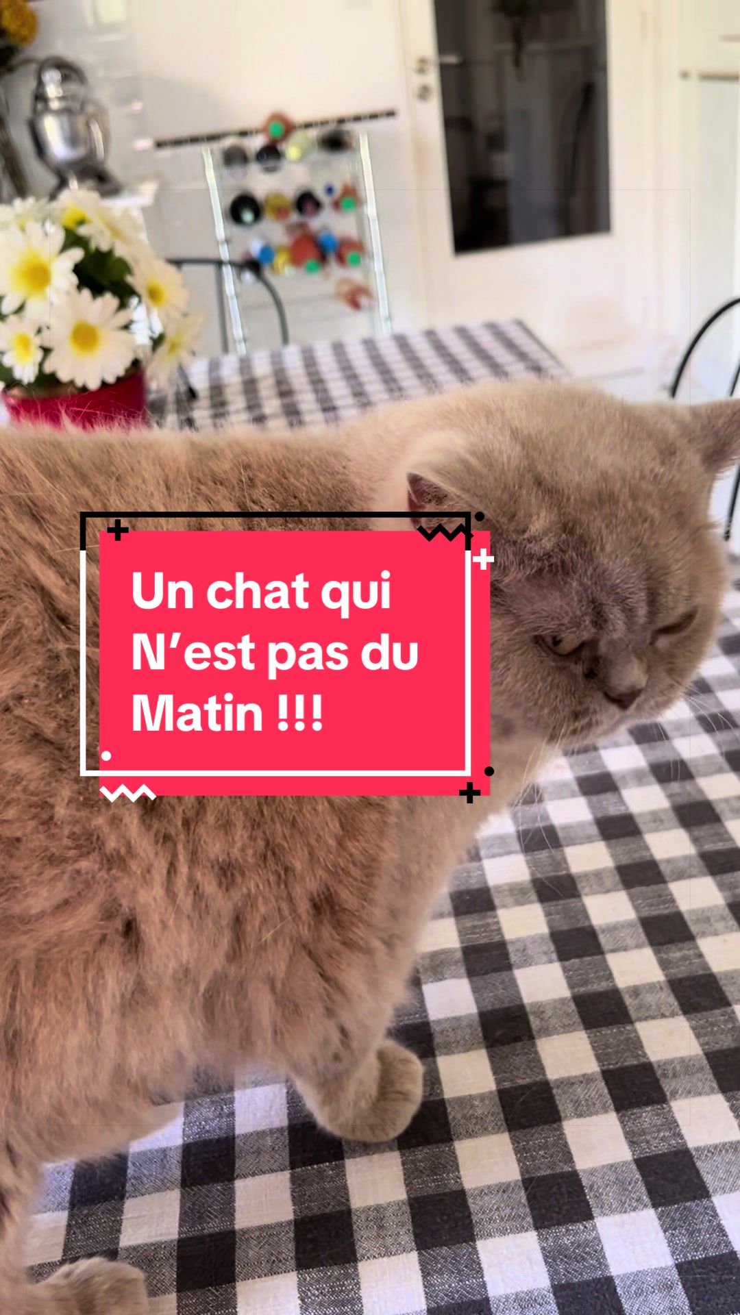 @Charles Malot
