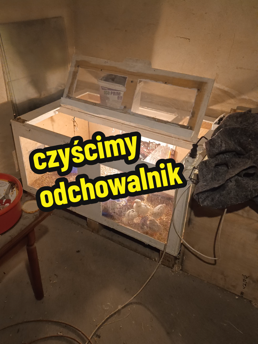 @Marcin ogrodnik