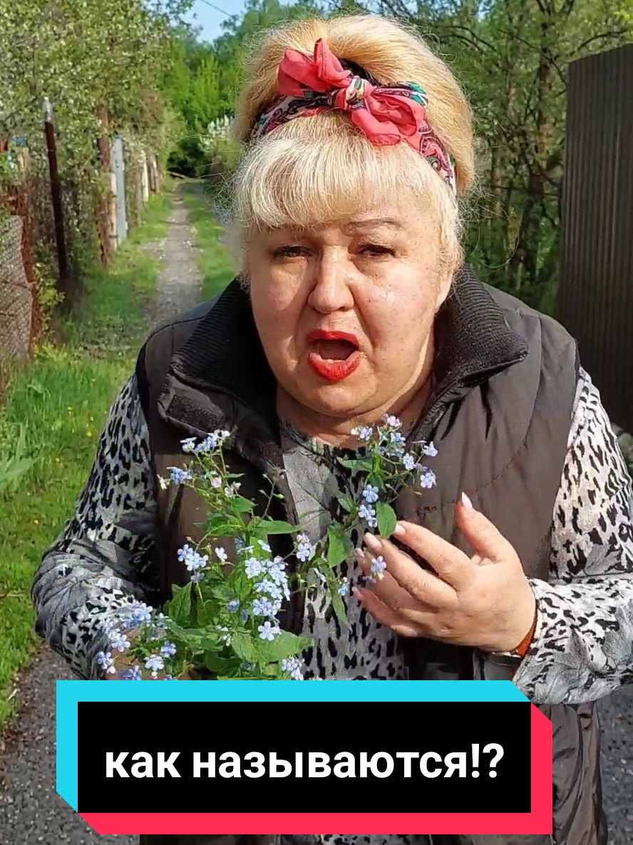 @🌟ЗВЕЗДА🌟та🌟Я🌟