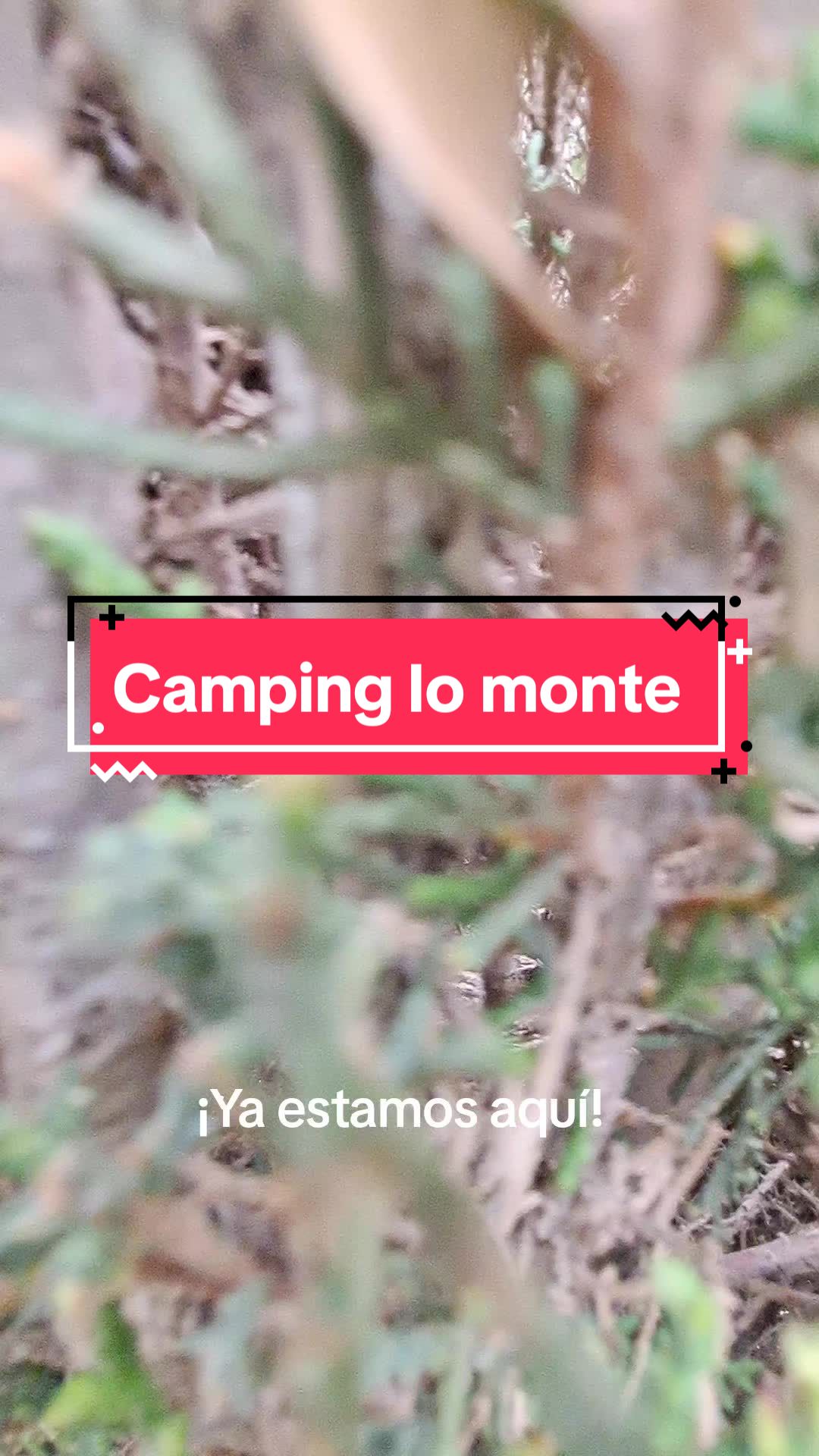 @Vive Rutas