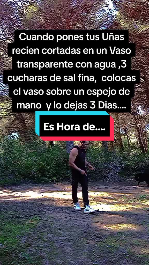 @Javi