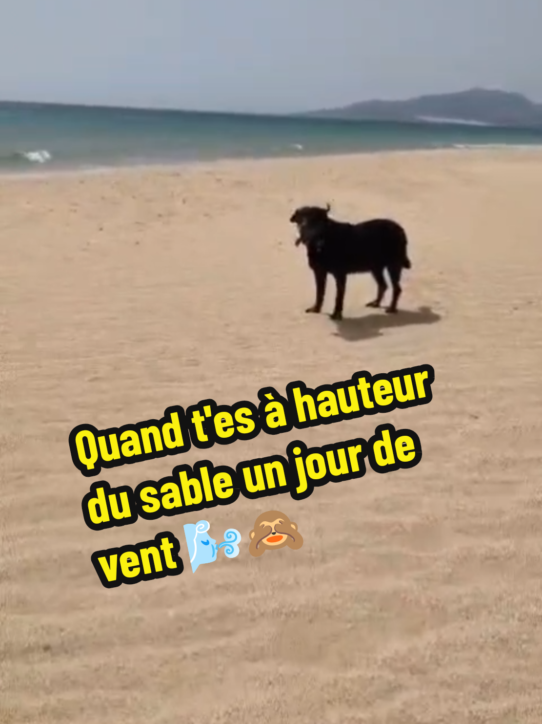 @Avec mes âmes libres