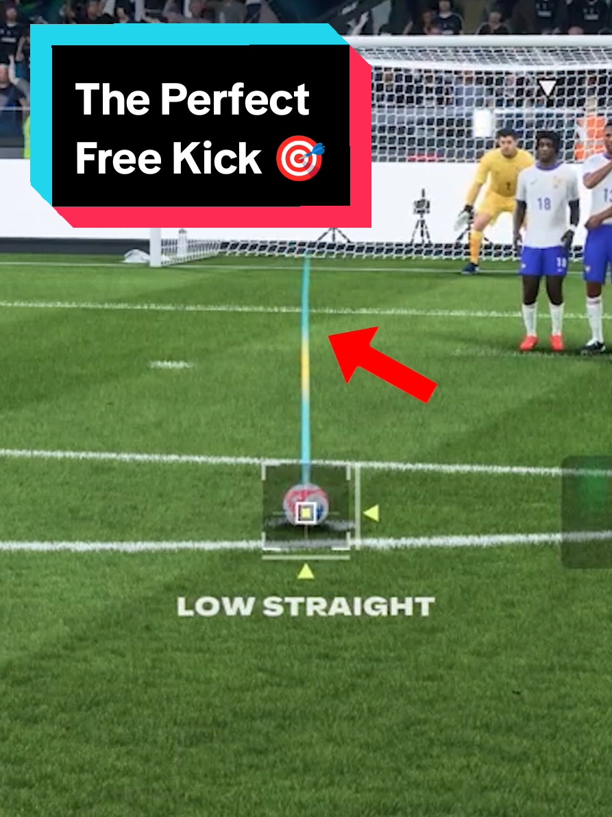 @THE GUIDE - FC Coaching