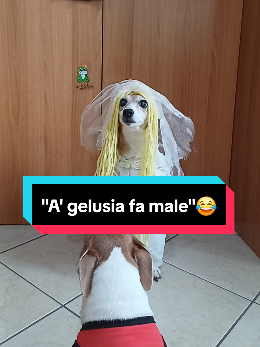 @MeryBS_Official