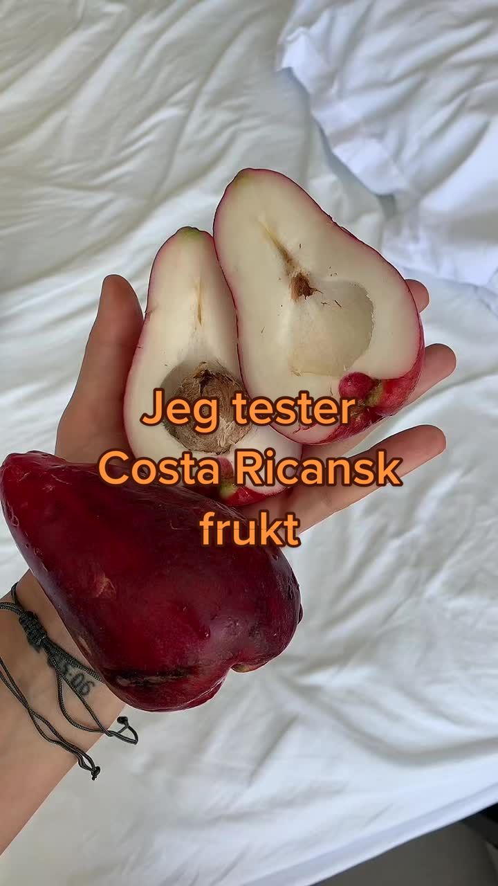 @Henrikke Tversland