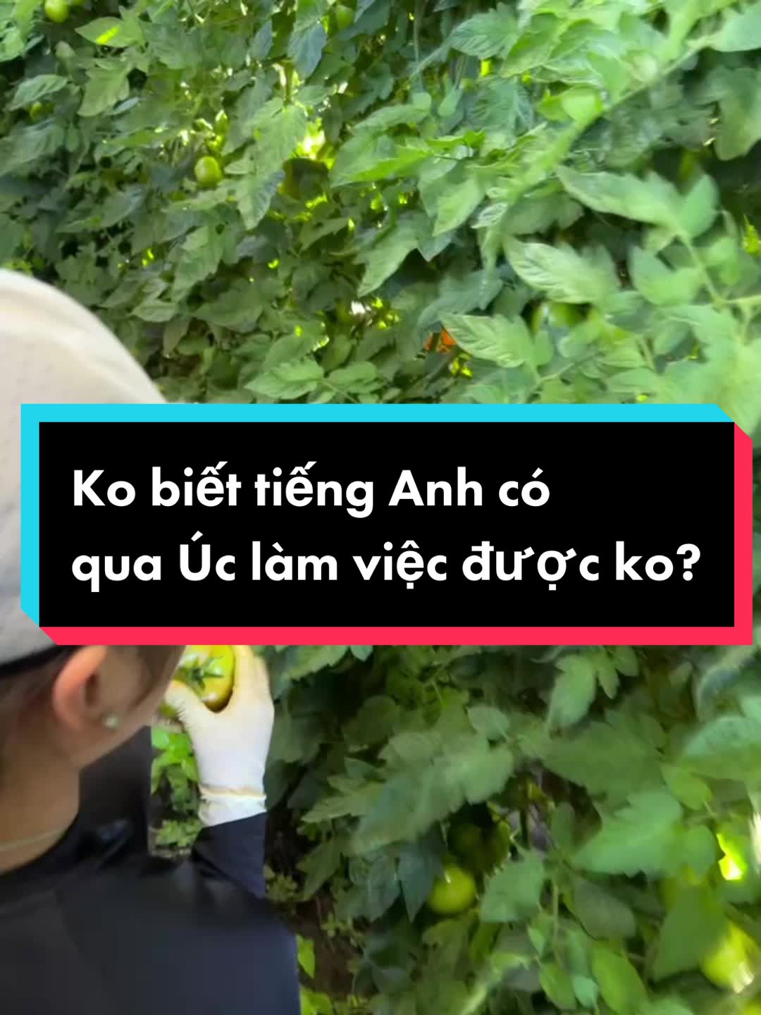 @Fuong Demi