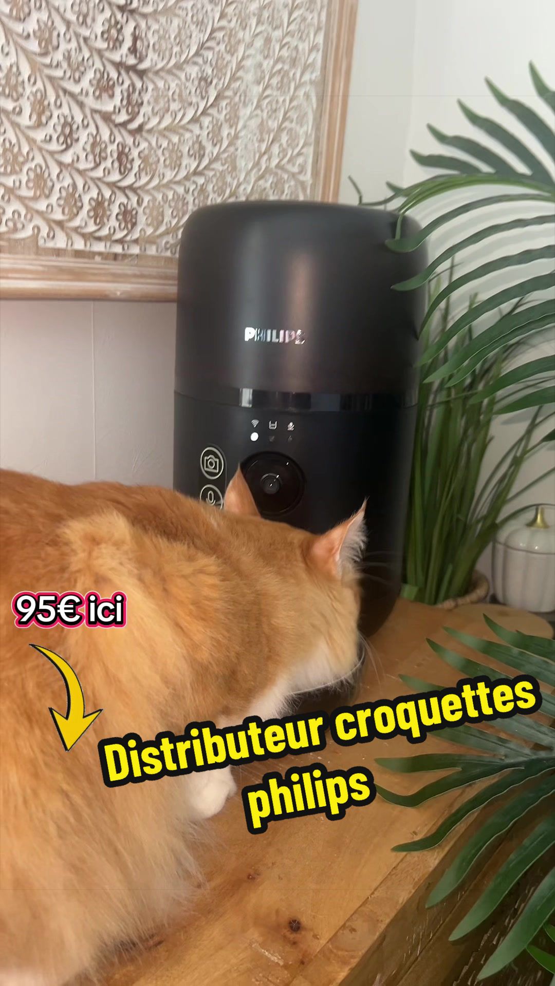 @Aurélie et Maellia