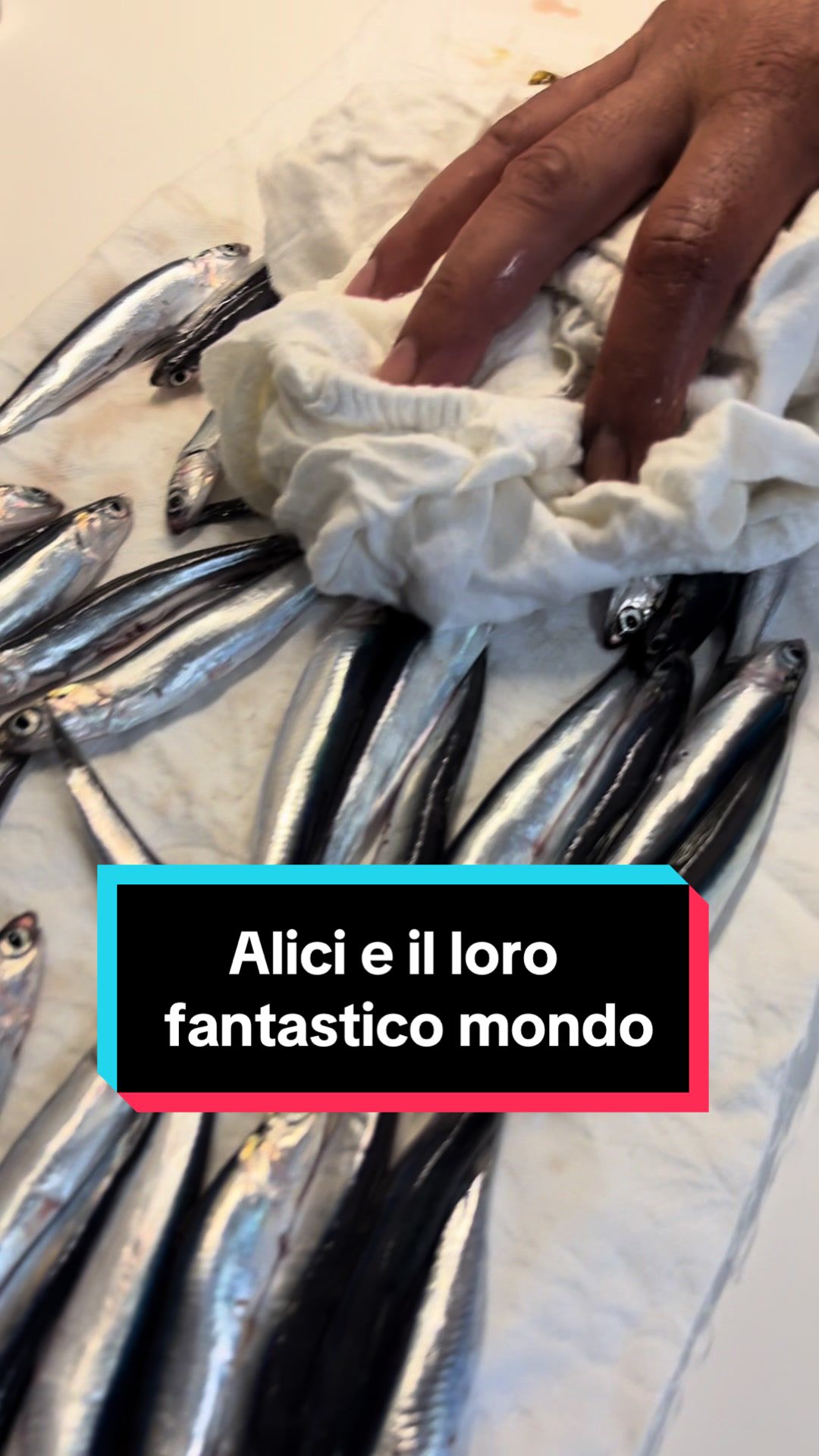@Luca Meola