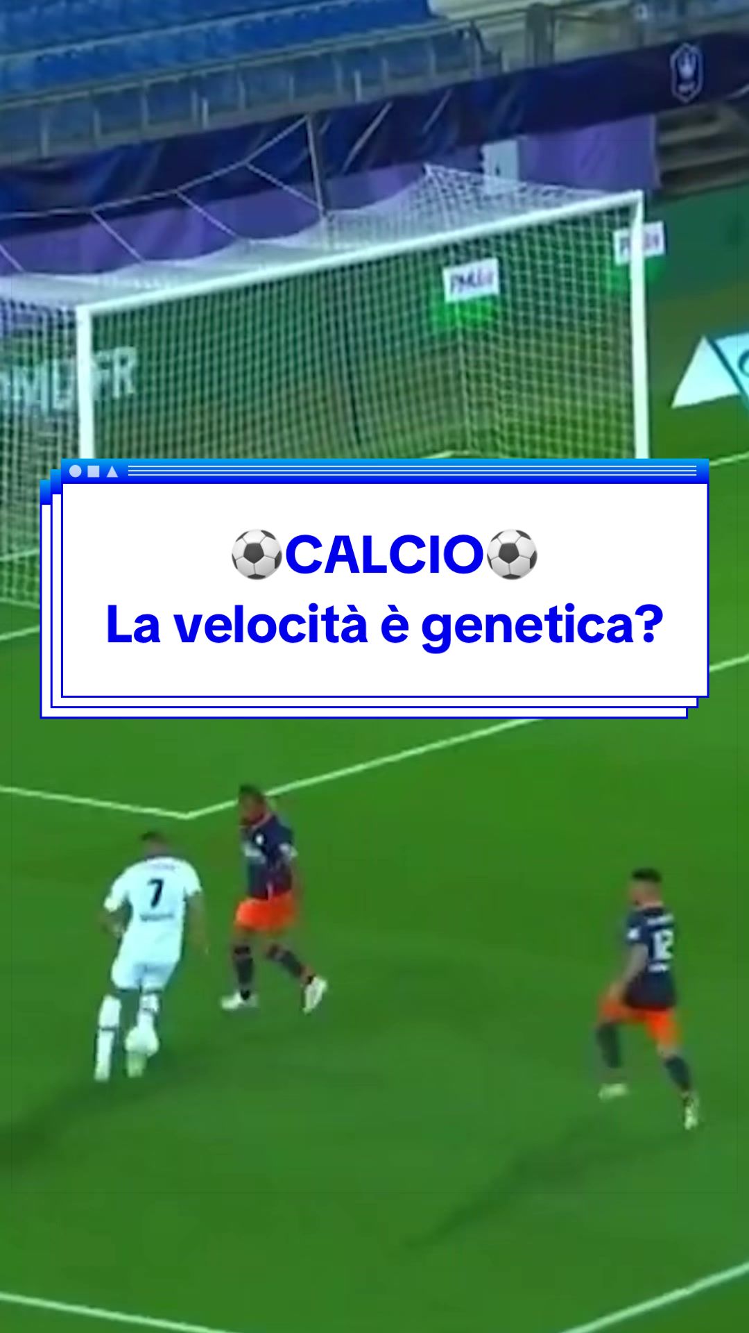 @Gioele Salvadori