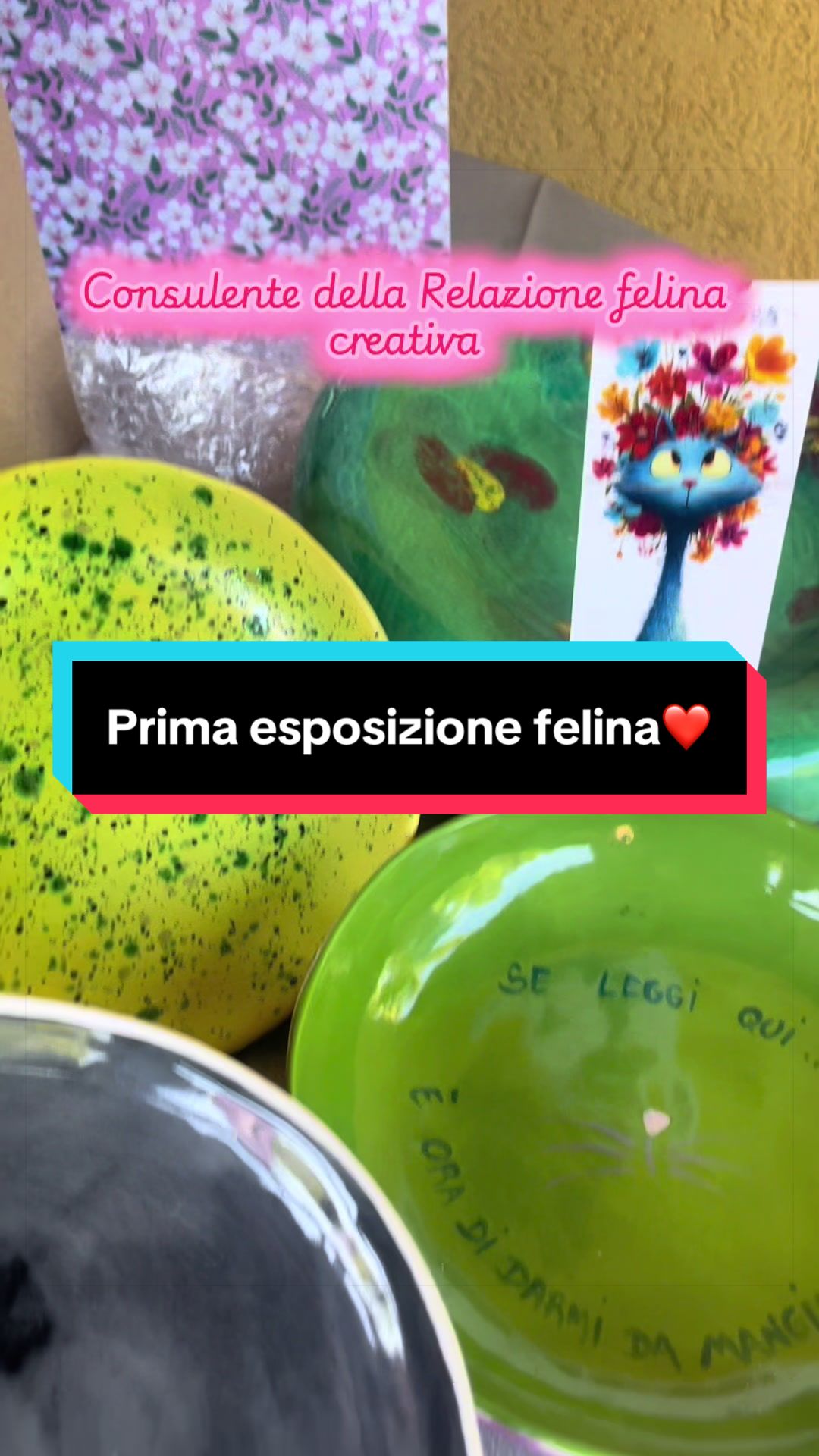 @Paolagemma Consulente Felina😻