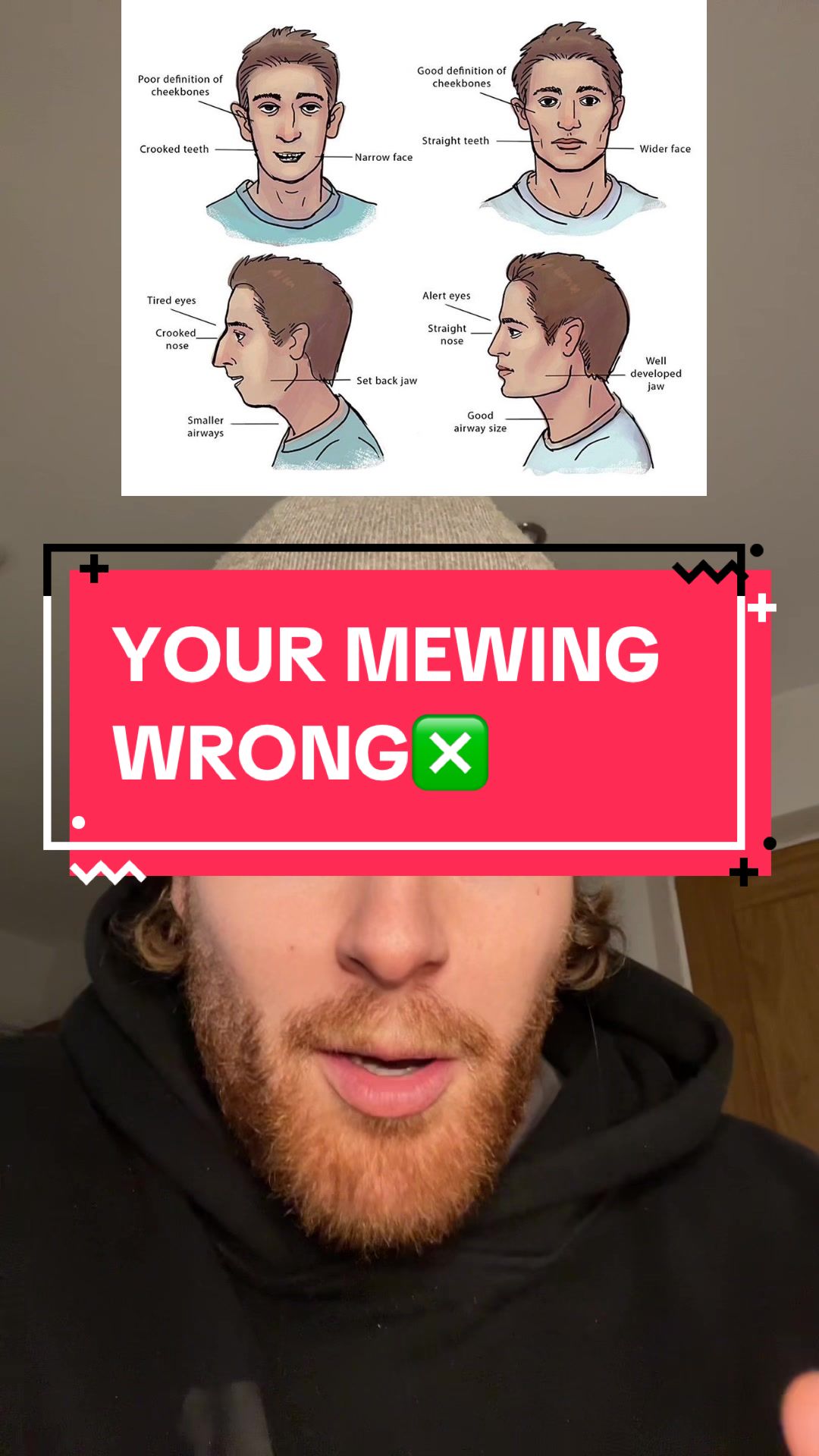 @Ollie Mew