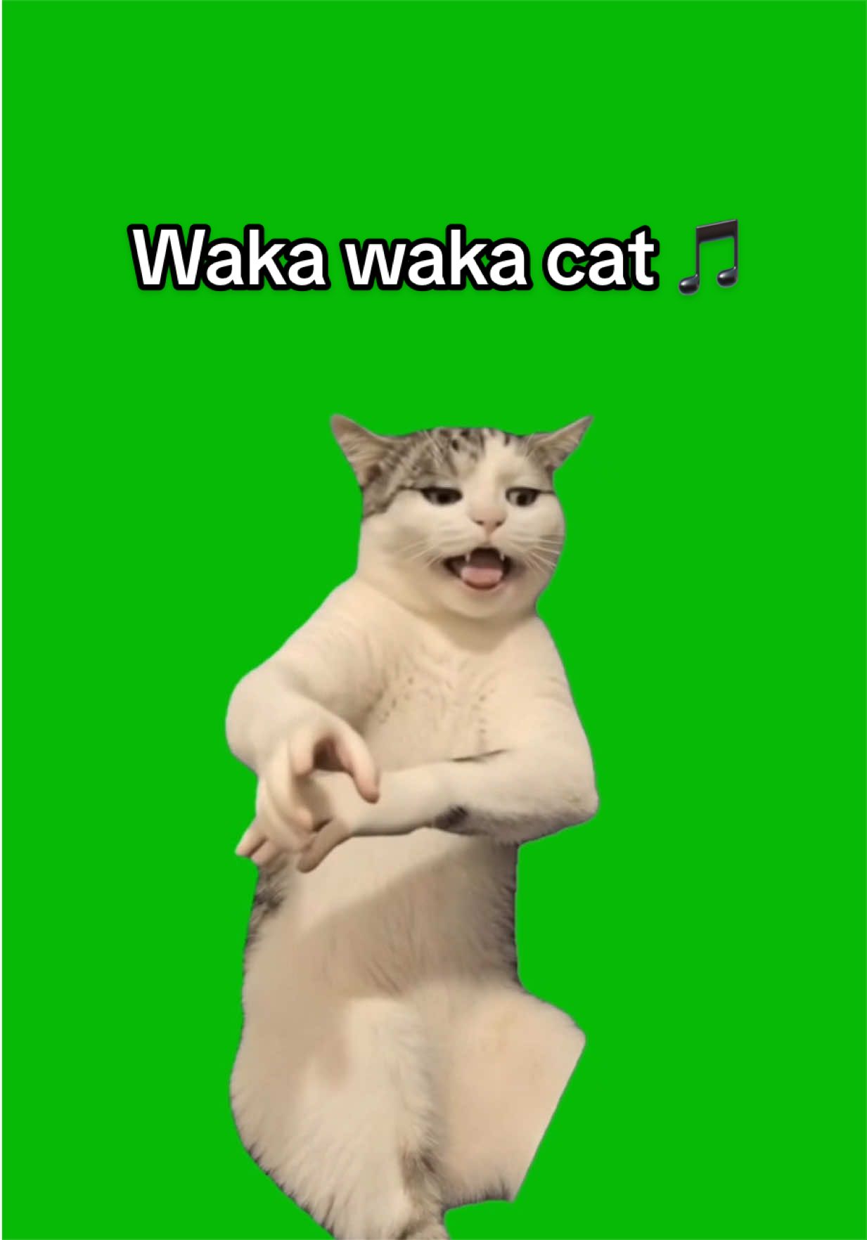 @Viral Green Screen Hub