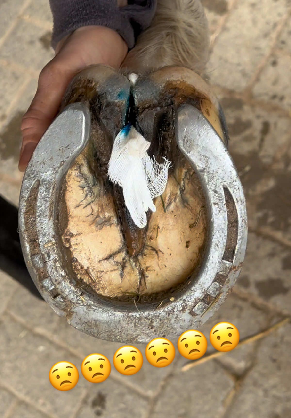 @Melek 'm3lly' Balg&uuml;n